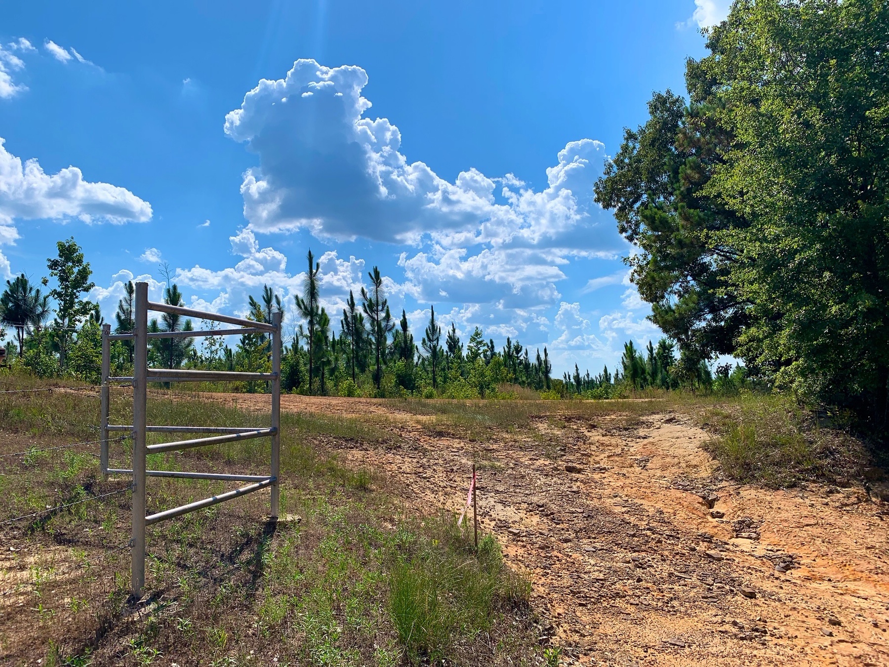 Center Ridge Property 315 acres+/ John Hall & Co