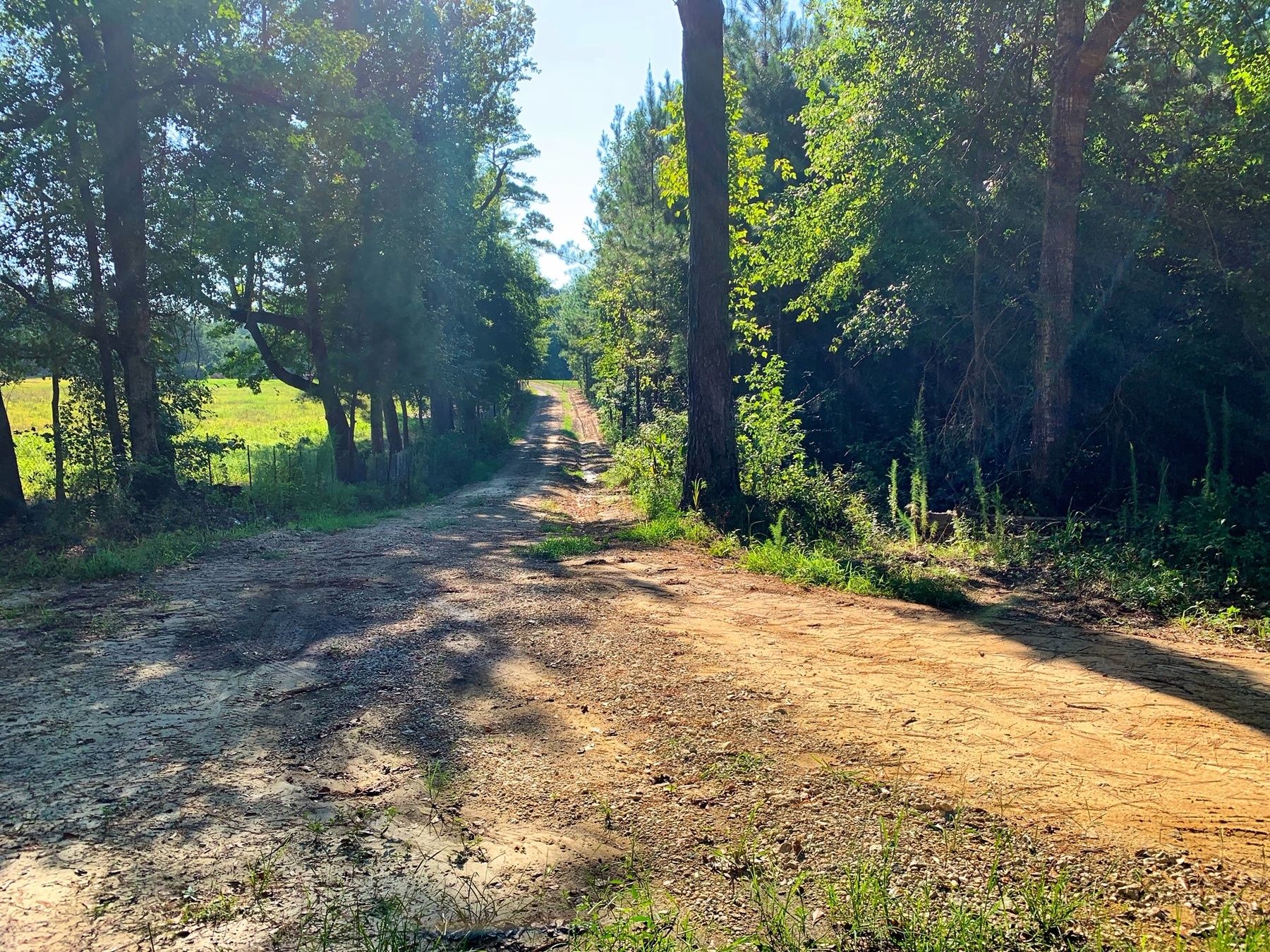 Midway, AL. Hwy 51 Tract John Hall & Co